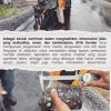 MASUDI, ST., MT dan RAI FRAJA NOFVANDRO, ST., M.Sc. Tegas Kawal Preservasi Jalan Nasional, Hadirkan Infrastruktur Aman Demi Keselamatan dan Harapan Masyarakat Sumbar