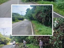 Armizoprades ST., MT Tunjukkan Komitmen Pelayanan Infrastruktur, Tim BMCKTR Sigap Atasi Longsor dan Pohon Tumbang di Padang