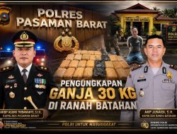 Pengungkapan Ganja 30 Kilogram di Ranah Batahan Jadi Bukti Komitmen Polres Pasaman Barat Berantas Narkoba