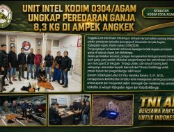 Peredaran Ganja di Agam Dibongkar, Unit Intel Kodim 0304/Agam Amankan Terduga Pelaku dan 8,3 Kg Barang Bukti