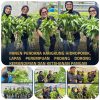 Susi Andriany Pohan Perkuat Ketahanan Pangan, Panen Kangkung Hidroponik Perdana Warnai Pembinaan di Lapas Perempuan Padang