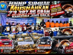 DUA KASUS, 73,3 KG GANJA DILENYAPKAN BNNP SUMBAR: CALYA BA 1875 OM DAN RUSH T 1613 MP JADI BARANG BUKTI