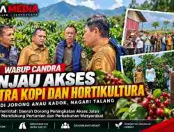 Wabup Solok Tinjau Potensi Kopi dan Bawang Merah di Anau Kadok