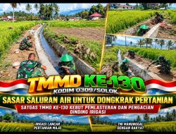 Letkol Inf Sugeng Riyadi Akselerasi Pembangunan Irigasi TMMD ke-130, Pemlasteran dan Pengacian Dinding Dikebut