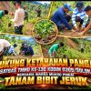 Perkuat Ekonomi Produktif Masyarakat, Satgas TMMD Kodim 0309/Solok Dorong Budidaya Jeruk di Jorong Tamudo