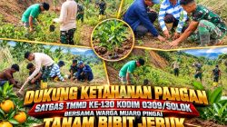 Perkuat Ekonomi Produktif Masyarakat, Satgas TMMD Kodim 0309/Solok Dorong Budidaya Jeruk di Jorong Tamudo