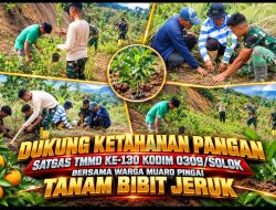 Perkuat Ekonomi Produktif Masyarakat, Satgas TMMD Kodim 0309/Solok Dorong Budidaya Jeruk di Jorong Tamudo