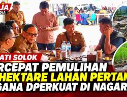 Bupati Solok Minta 35 Hektare Lahan Pertanian Segera Dipulihkan, Tagana Diperkuat di Nagari